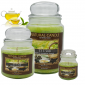 NATURE CANDLE 90G  TE' VERDE