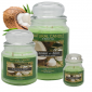 NATURE CANDLE 90G  COCONUT & MINT