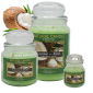 NATURE CANDLE 90G COCONUT & MINT NATURE CANDLE 90G COCONUT & MINT