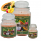 NATURE CANDLE 90G  TROPICAL