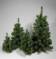 071059 PINETTO ECOLOGY VERDE CM.50 071059 PINETTO ECOLOGY VERDE CM.50