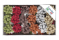30245/00 STELLE MM.10 GLITTY SC.50 30245/00 STELLE MM.10 GLITTY SC.50