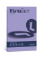 RISMALUCE A4 GR. 90 VIOLETTO RISMALUCE A4 GR. 90 VIOLETTO