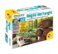 35458 MISTERIOSO REGNO DEI FUNGHI 35458 MISTERIOSO REGNO DEI FUNGHI