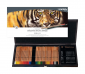 L2004001 LYRA POLYCOLOR 430x205 L2004001 LYRA POLYCOLOR 430x205